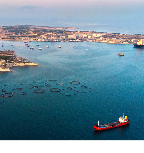 Sustainable Aquaculture Production in the Maltese Islands